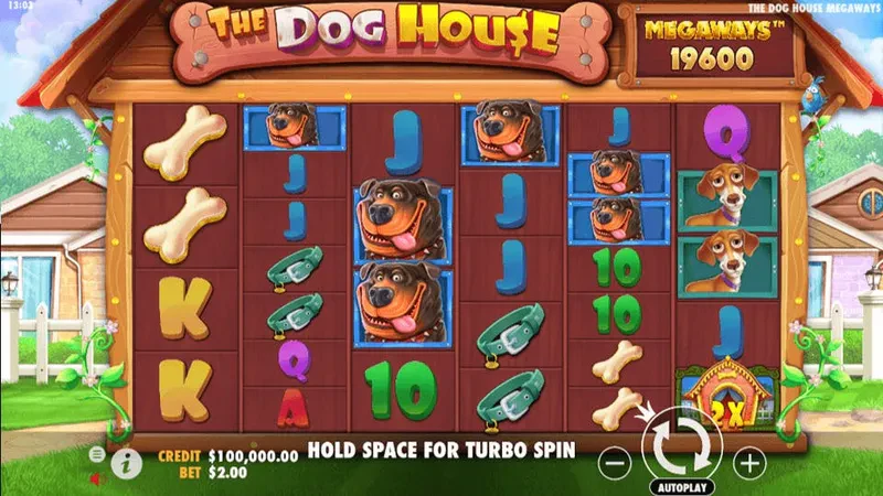 dog house megaways