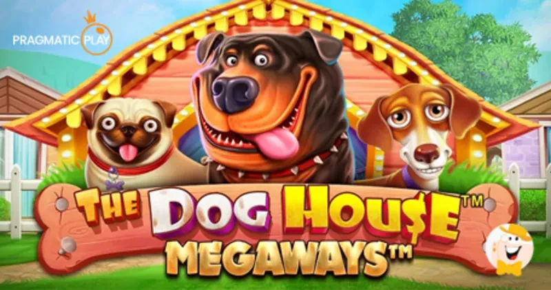 the dog house megaways
