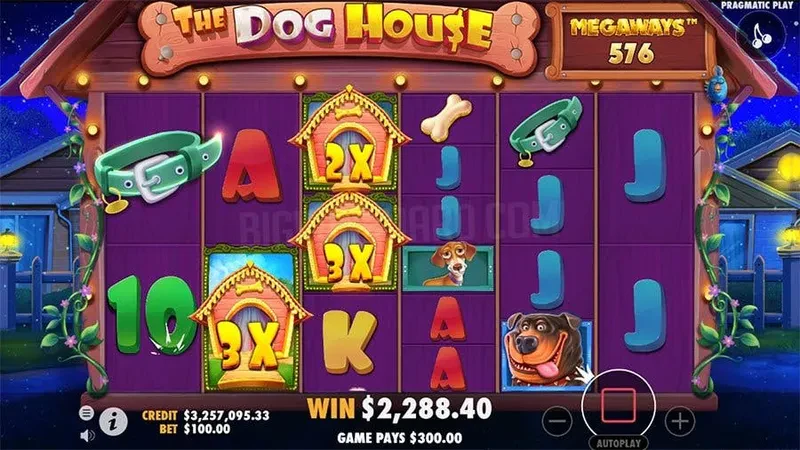 bonus The Dog House Megaways
