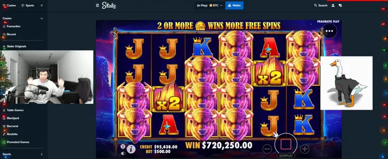 Buffalo King win