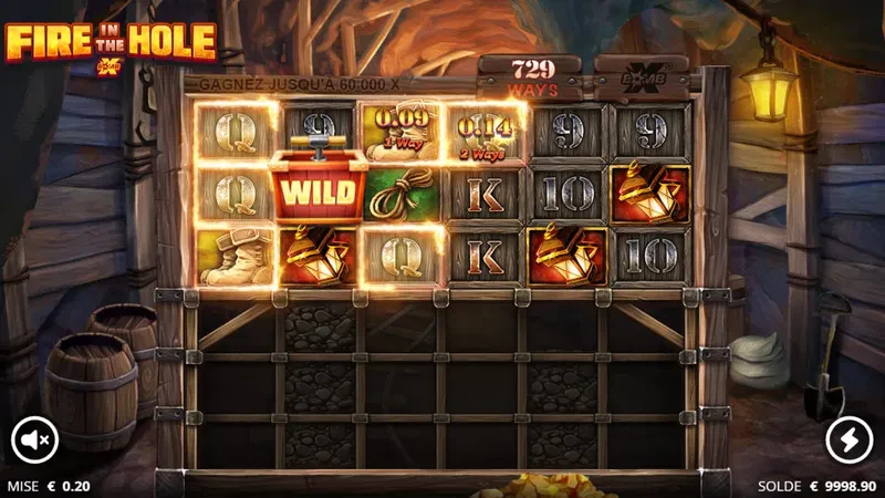 xbomb wild