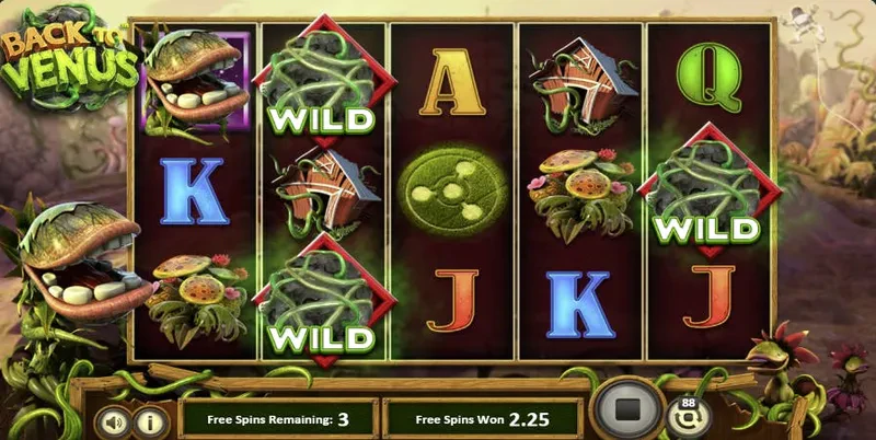back to venus bonus