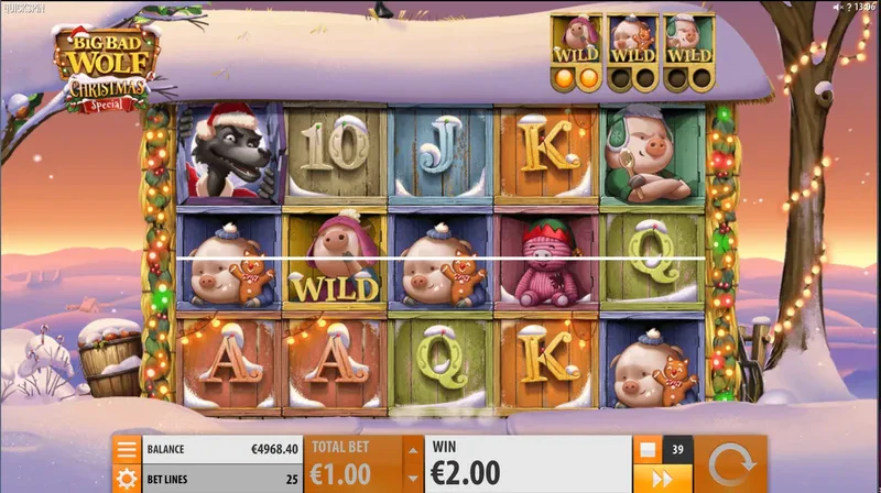 wild machine a sous