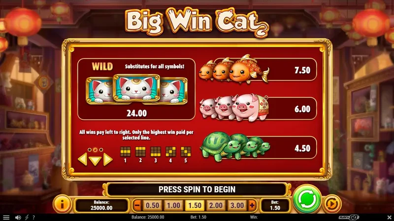 symboles big win cat