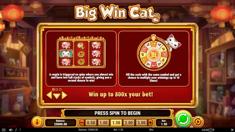 bonus big win cat