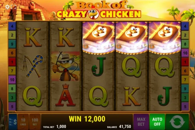 scatter book of crazy chicken