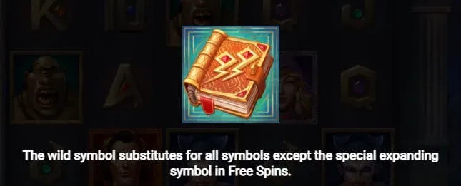wild book of 99