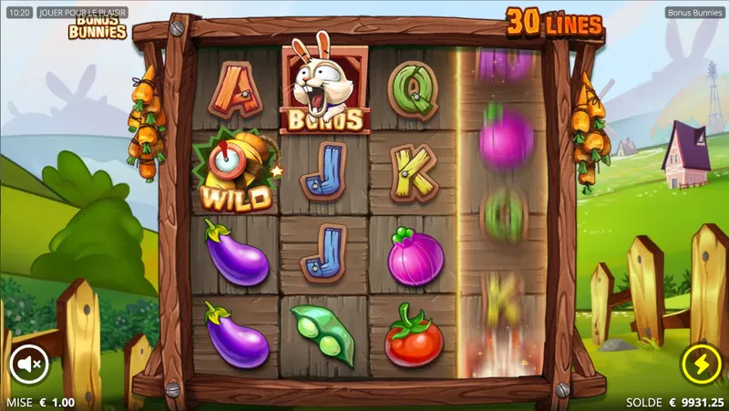wild et bonus