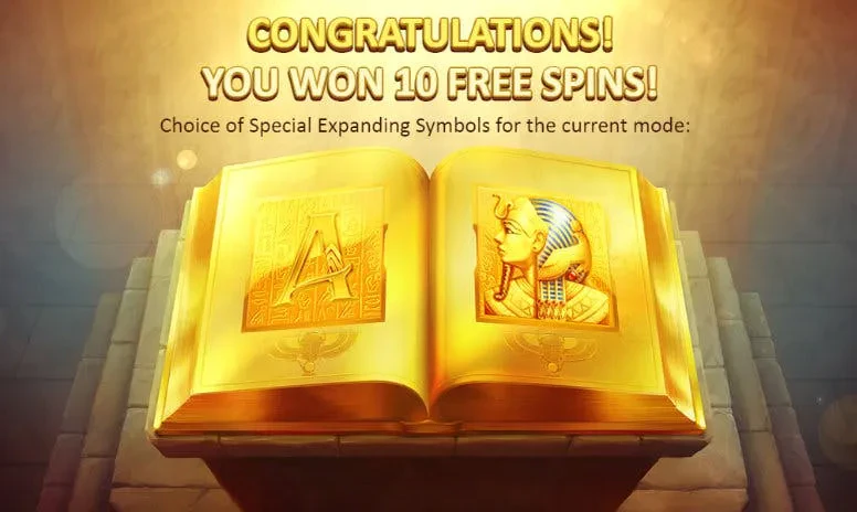 symboles bonus book of gold double chance