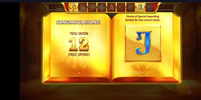 symbole bonus book of gold multichance