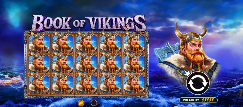 book of vikings