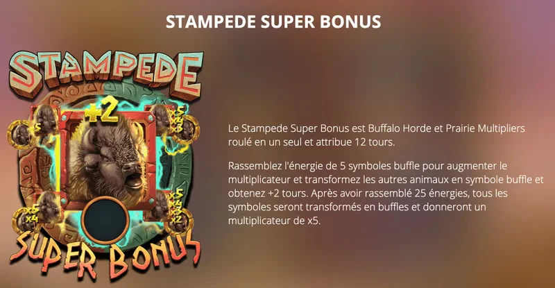 Super bonus 