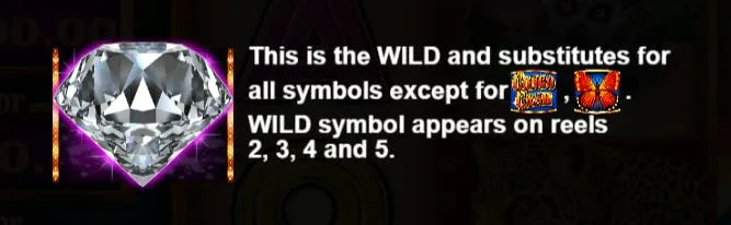 wild congo cash