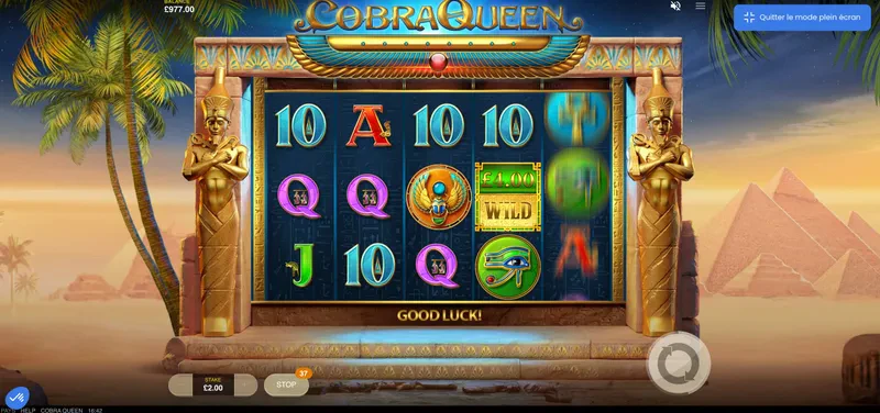 cobra queen fonctionnalité