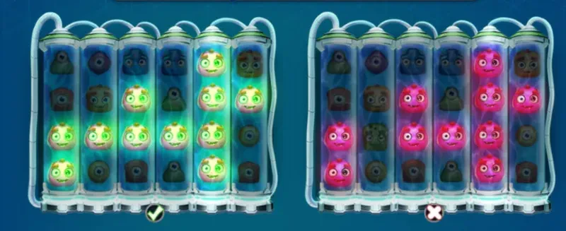 connexions dr toonz