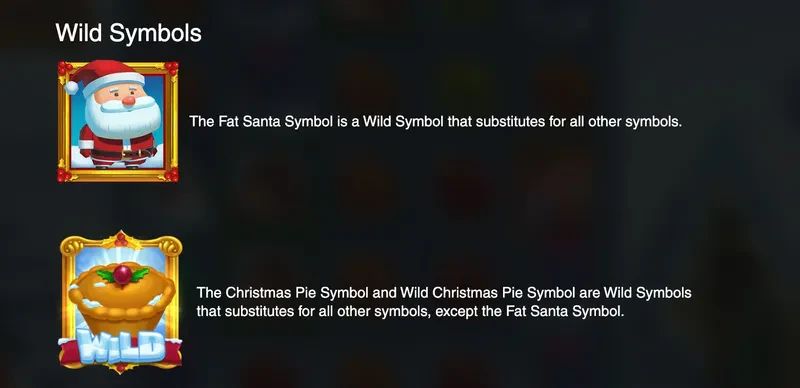 wild symbol