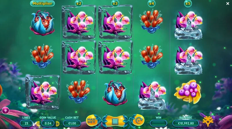 bonus fruitoids