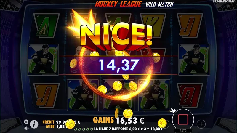 Bonus Hockey League Wild Match