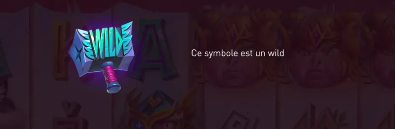 wild symbole