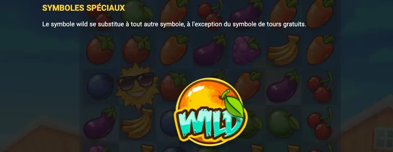 symbole wild