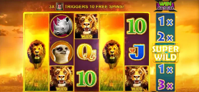 super wilds hot safari