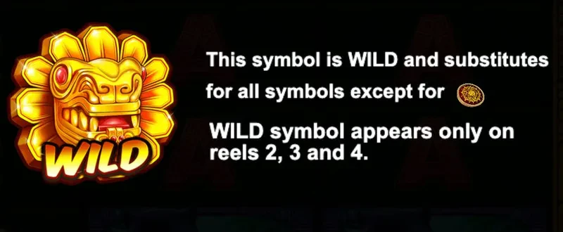 symbole wild machine a sous