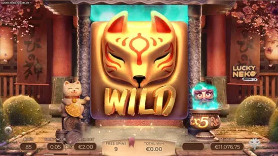 Wild Lucky Neko
