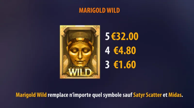 Marigold wild