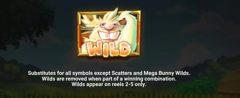 symbole wild