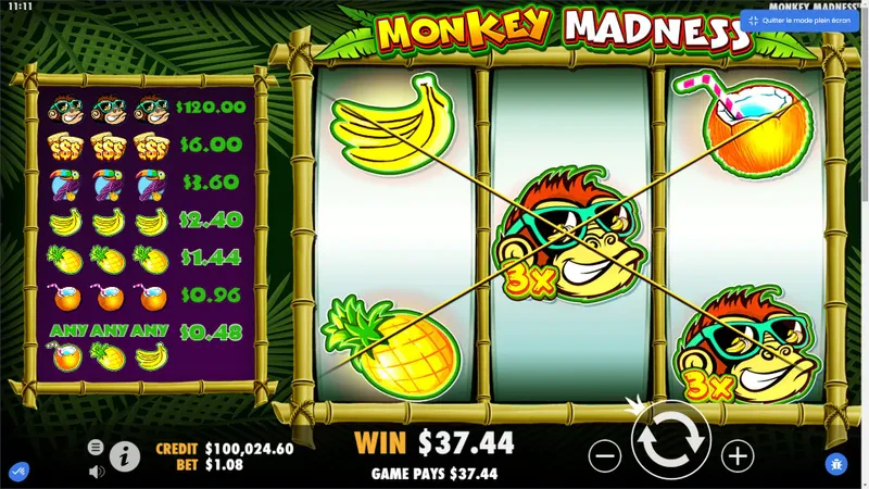 Monkey Madness Wild