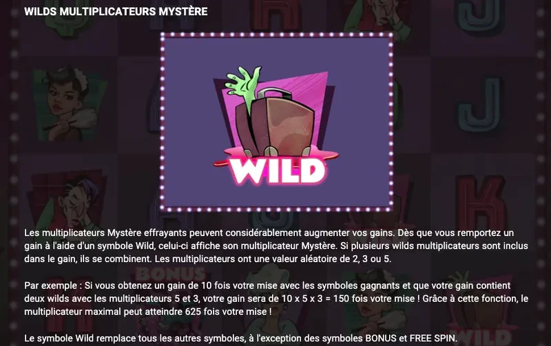 wild mystery motel
