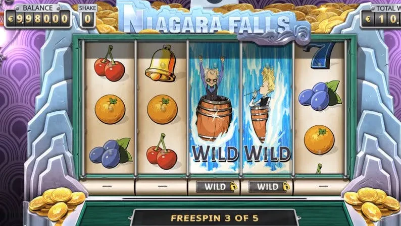 wild niagara falls
