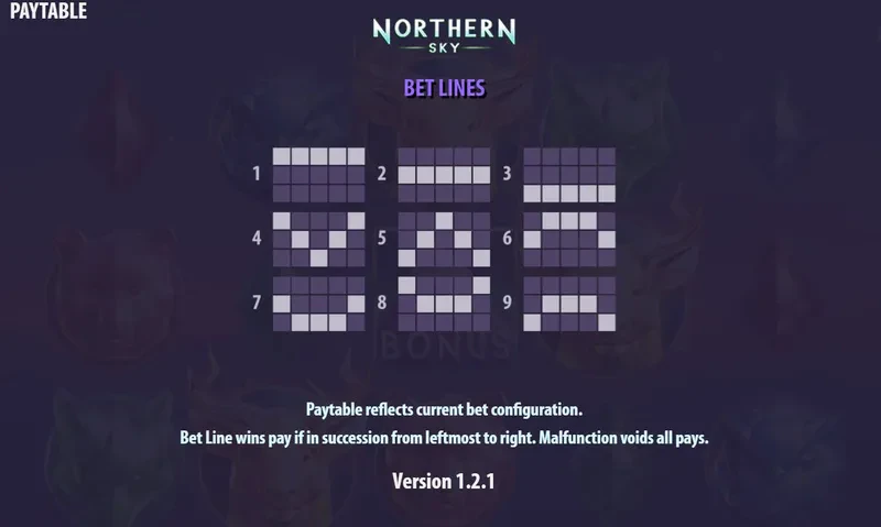 connexions northern sky