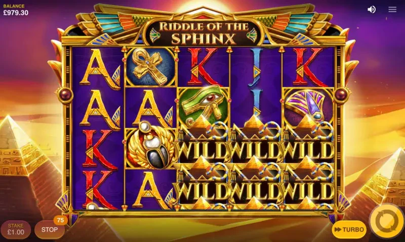 dynasty wilds riddle of the sphinx
