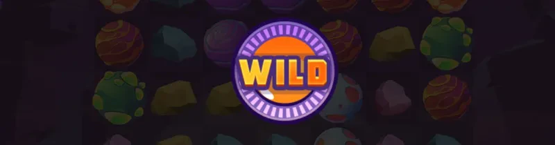 symbole wild