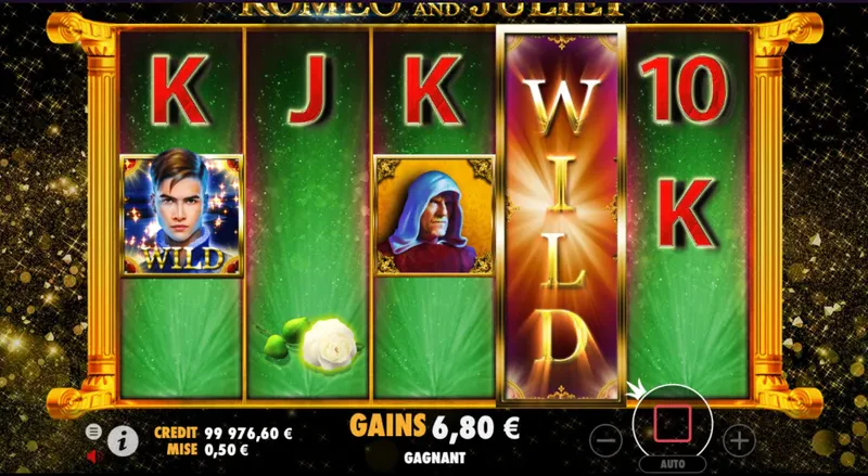 wild grille obteint du bonus
