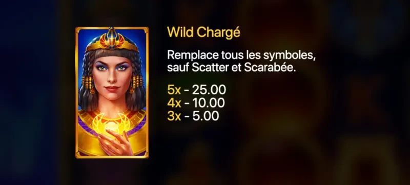 wild chargé