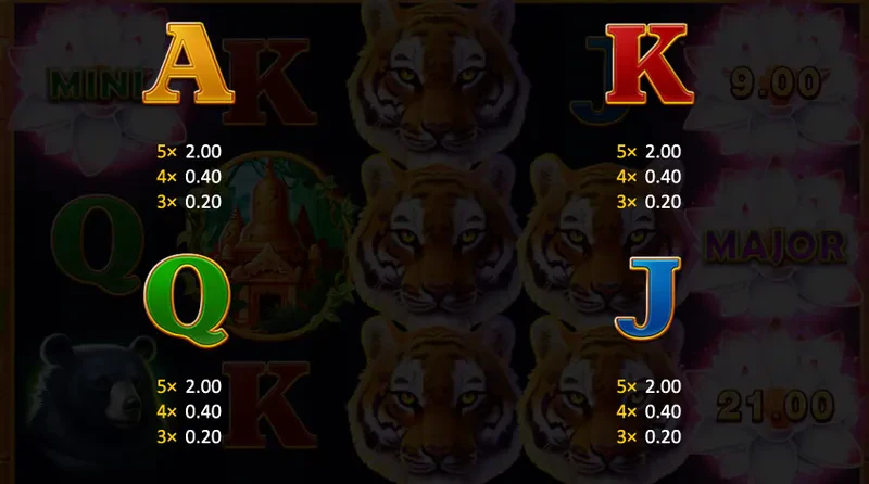 symboles classiques tiger jungle hold and win