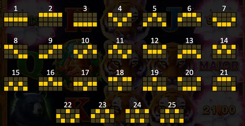 connexions tiger jungle hold and win