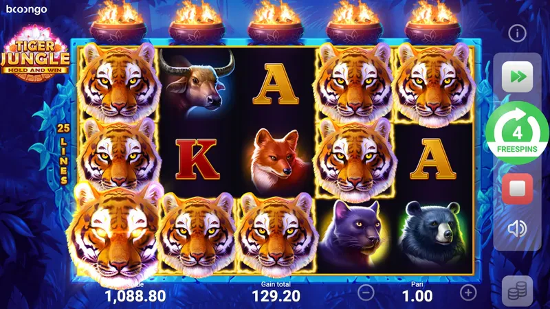 bonus free spins tiger jungle hold and win