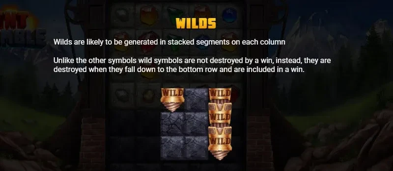wild tnt tumble