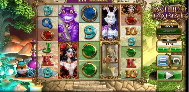 interface jeu white rabbit