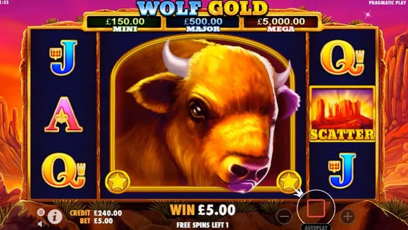 bonus wolf gold