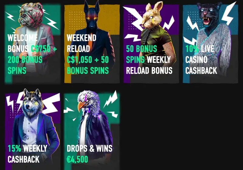 bonuses betinia