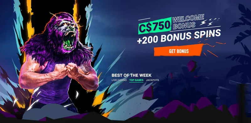 welcome bonus betinia slots