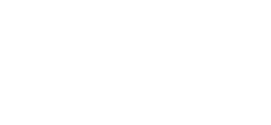 whitelogo-dublinbet