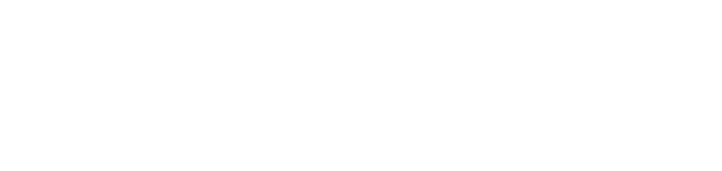 logowhite-wildz