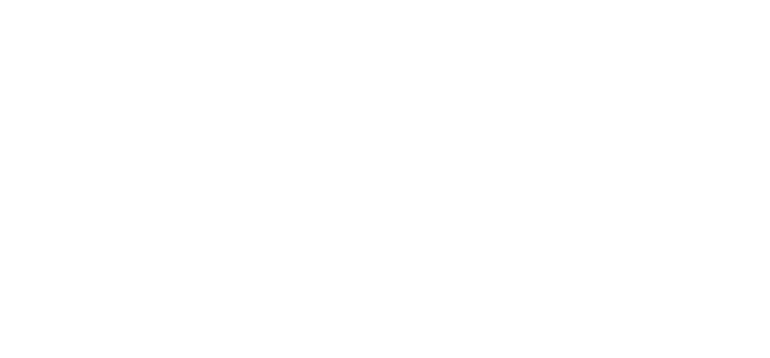 logowhite-tortuga