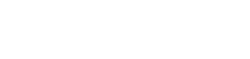 logowhite-mrplay