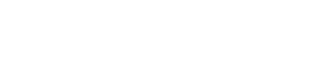 logowhite-spincasino